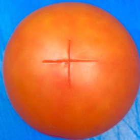 Putting a small cross in the base of the tomato makes it easier to skin